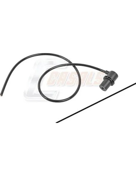 CASALS65143