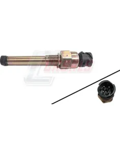 CASALS65146