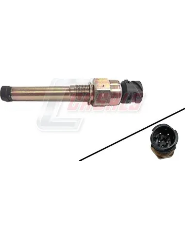 CASALS65146