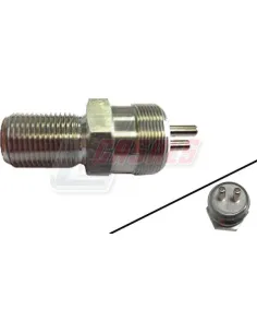 CASALS65148