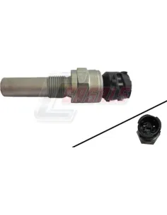 CASALS65153