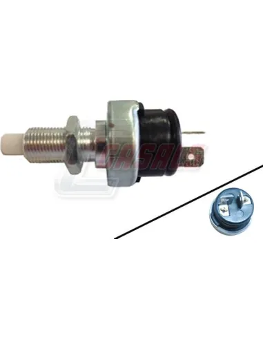 CASALS65157