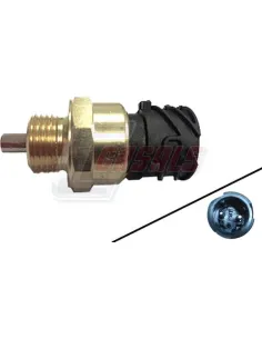 CASALS65159