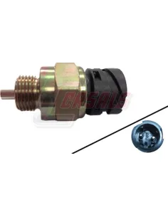 CASALS65160