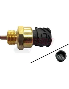 CASALS65162
