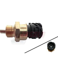 CASALS65169