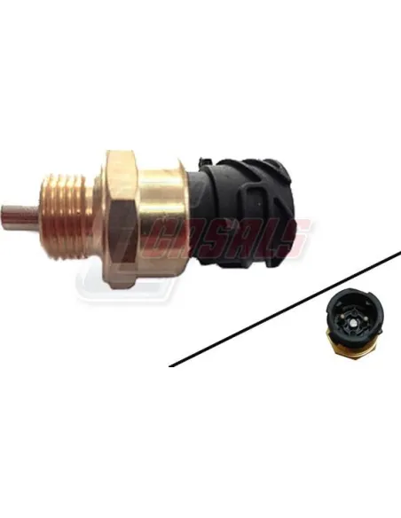 CASALS65169