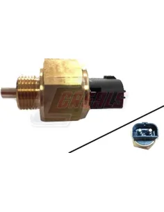 CASALS65174