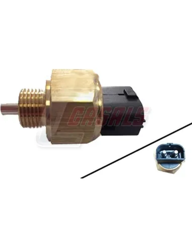 CASALS65175