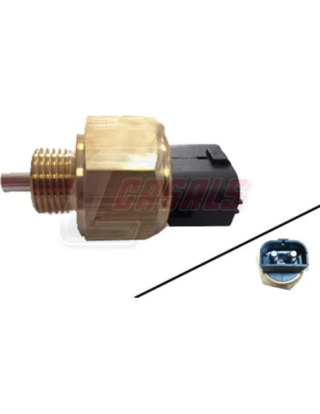 CASALS65175