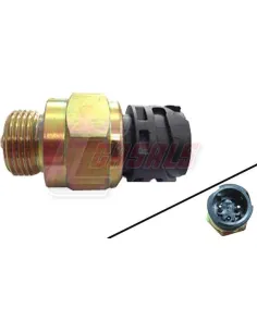 CASALS65176