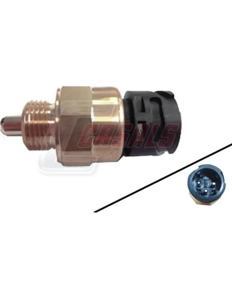 CASALS65181