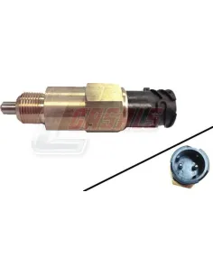 CASALS65185