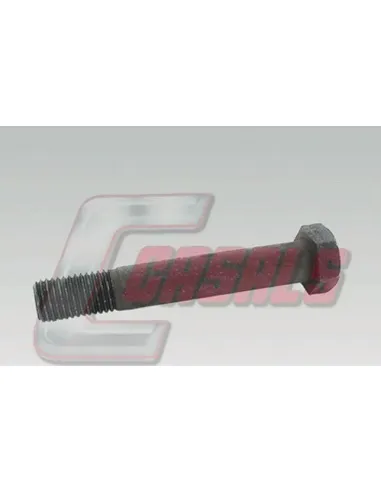 CASALS6519