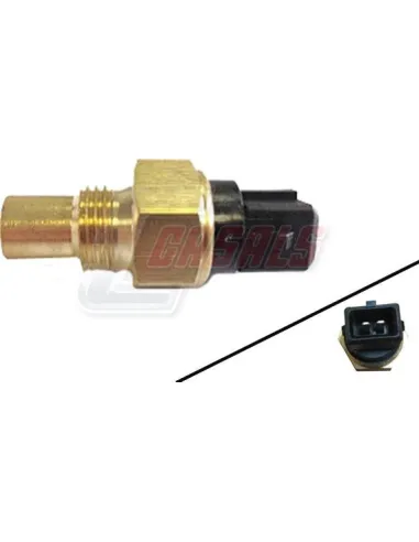 CASALS65201