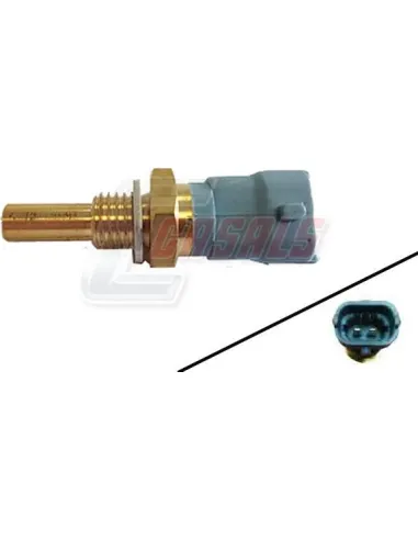 CASALS65204
