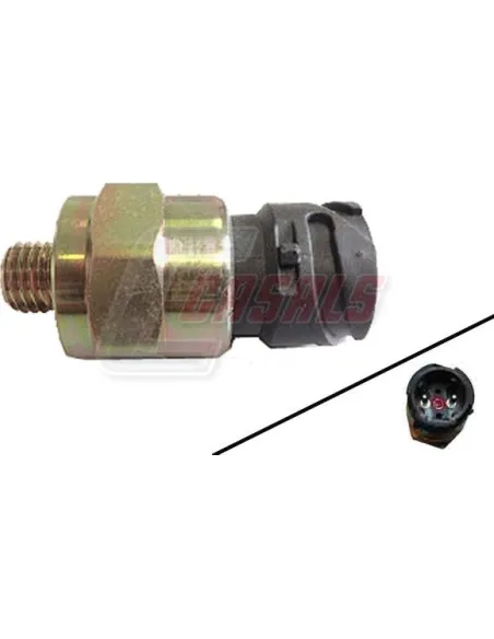 CASALS65205