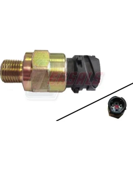 CASALS65216