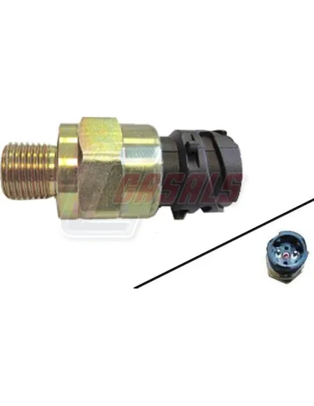 CASALS65221