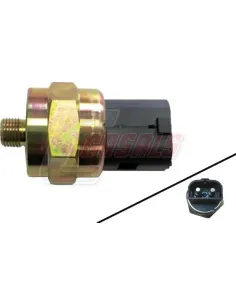 CASALS65227