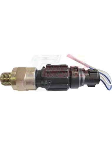 CASALS65228