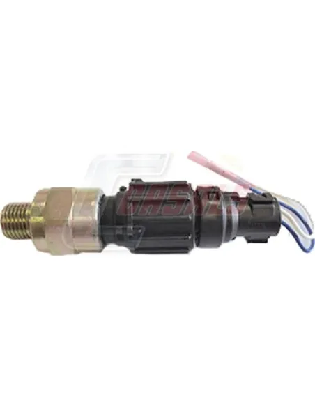 CASALS65228