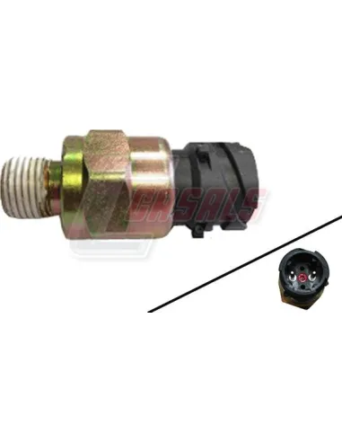 CASALS65237