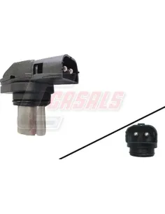 CASALS65252