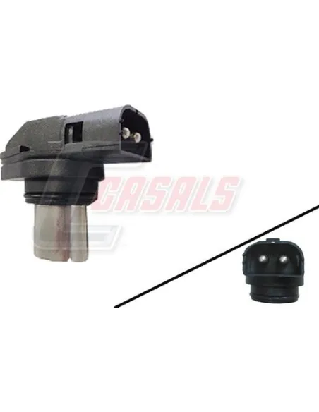 CASALS65252