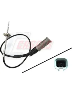 CASALS65258