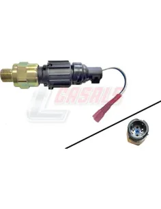 CASALS65293