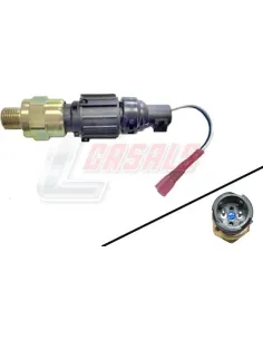 CASALS65298