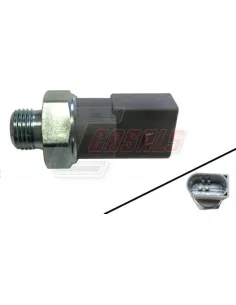 CASALS65304