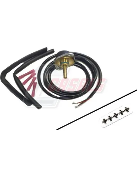 CASALS65305