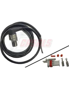 CASALS65306