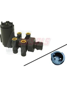 CASALS65307