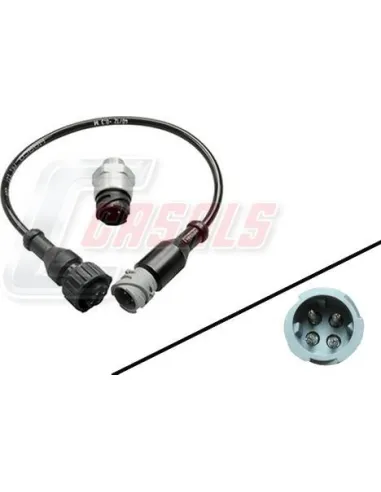 CASALS65313