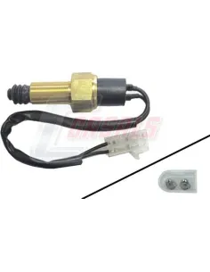 CASALS65315
