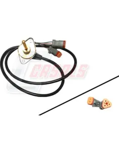 CASALS65321