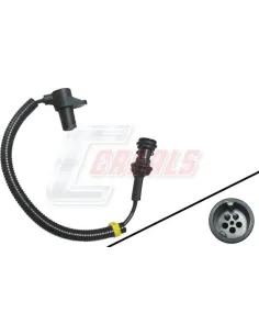 CASALS65325