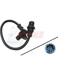 CASALS65330
