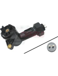 CASALS65336