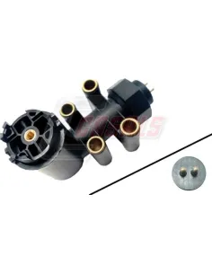 CASALS65337