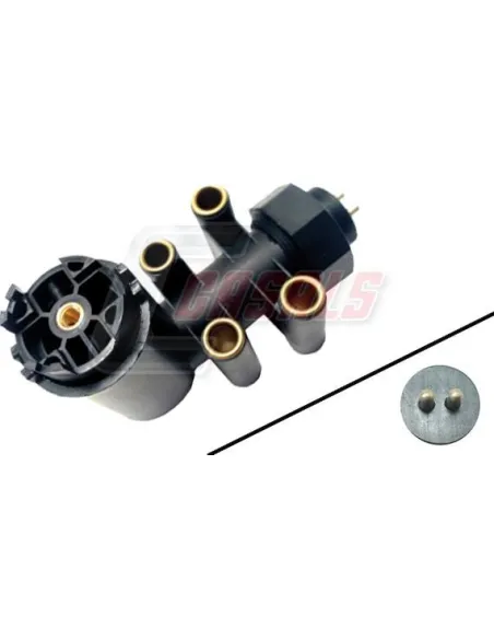 CASALS65337