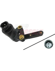 CASALS65339