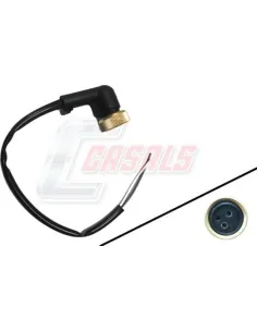 CASALS65347