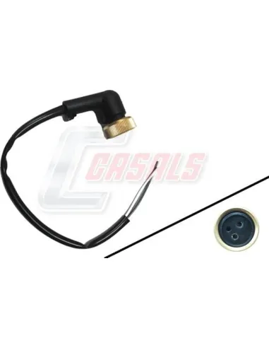 CASALS65347