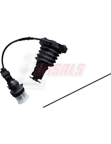 CASALS65349