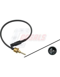 CASALS65355
