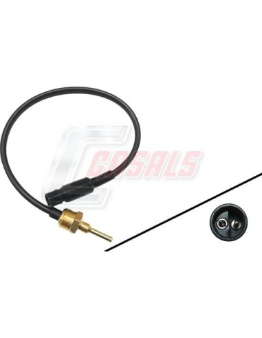 CASALS65355